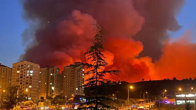 Bursa'da Yangınlar Neden Artıyor? Son Durum ve Alınan Önlemler
