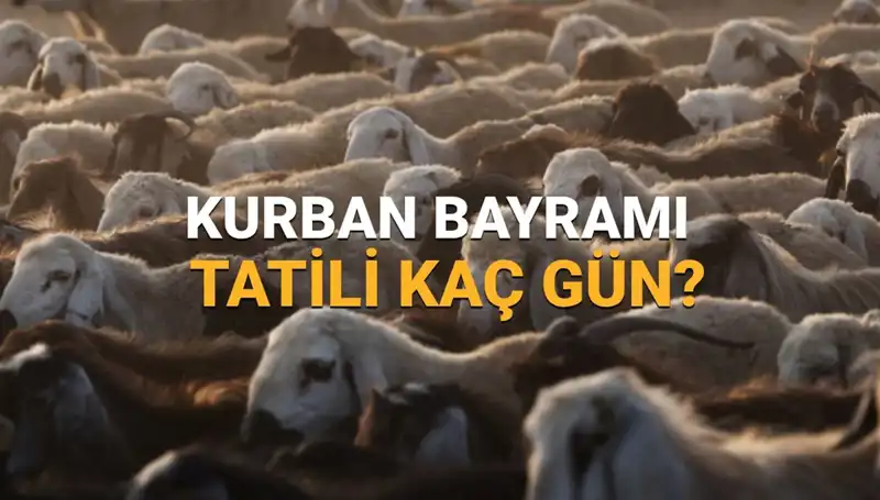 2025 Kurban Bayramı Tatili Ne Zaman Başlıyor? Hayvan Kesimi ve Bayram Hazırlıkları