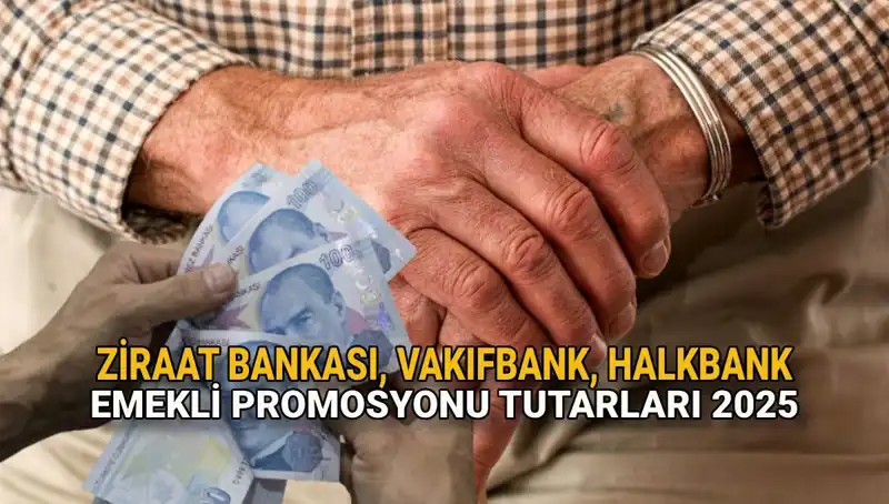 Emekli Maaşı Promosyonları 2025: Kamu Bankalarında Yeni Fırsatlar