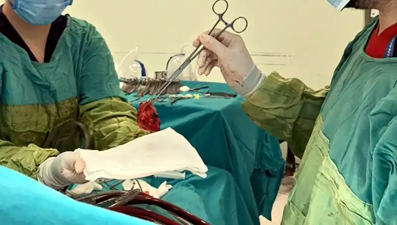 Kalp Kapağı Çürüyen Hastaya Yapılan 7 Saatlik Ameliyatın Ardındaki Mucize