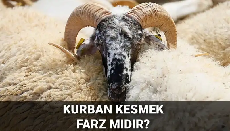 Kurban Kesmenin Farz Olup Olmadığı ve Diyanet'in Görüşleri