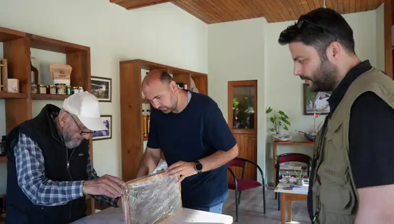 Şifa mı, Zehir mi? 1 Çay Kaşığı Tüketimiyle İlgili Bilmeniz Gerekenler