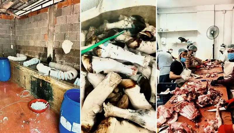 Adana'da Mide Bulandıran Olay: Yüzlerce Kilo Paça Ele Geçirildi!