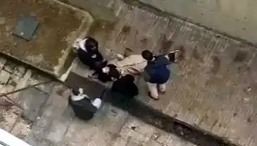 Kampüs Ortasında Yaşanan Köpek Paniği: Talihsiz Düşüş Olayı