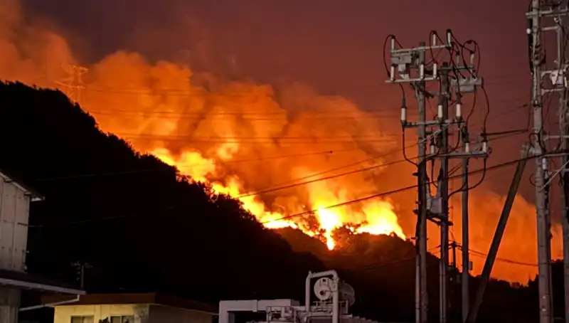 Japonya'da Orman Yangınları Alarmı: İki Eyalet Alevler İçinde Kaldı