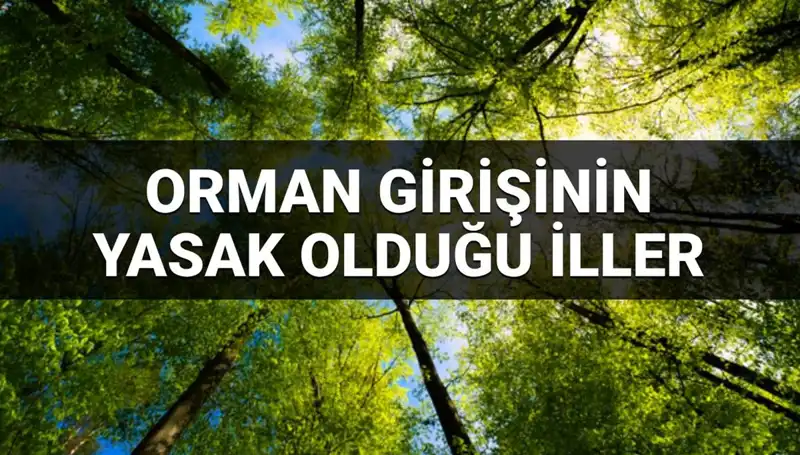 2025 Yılında Ormana Girişi Yasaklanan İllerin Listesi