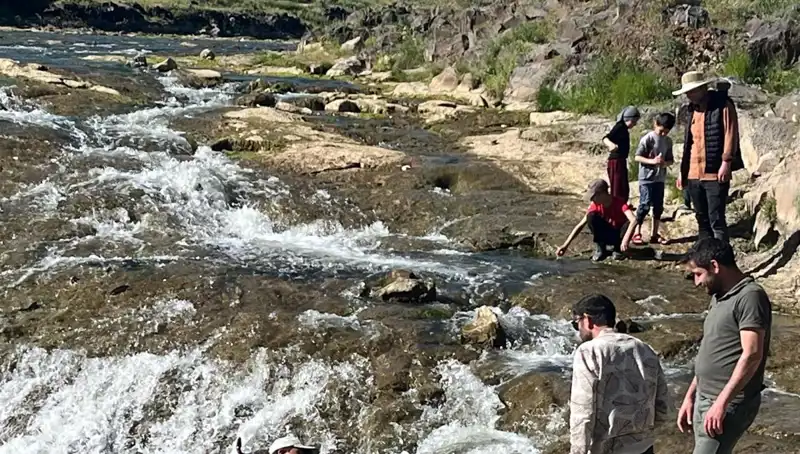 İnci Kefalinin Göçü: Doğa Harikasında Binlerce Turistin Büyülü Yolculuğu