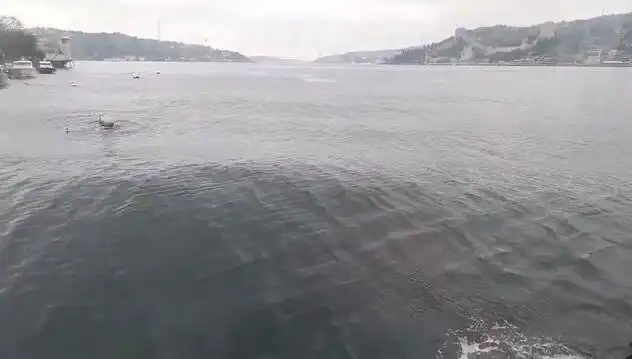 İstanbul Boğazı'nda Dalgaların Yükselmesi: Doğa Olayı Korkutuyor mu?