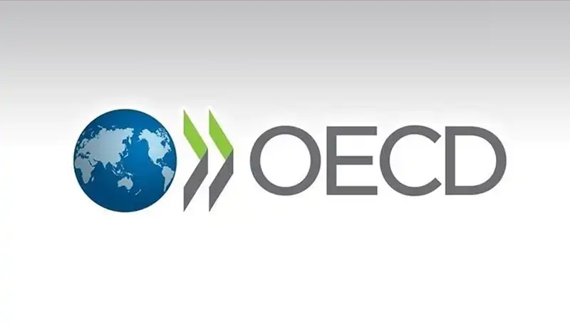 Türkiye'nin Ekonomik Geleceği: OECD Büyüme Tahminlerini Açıkladı