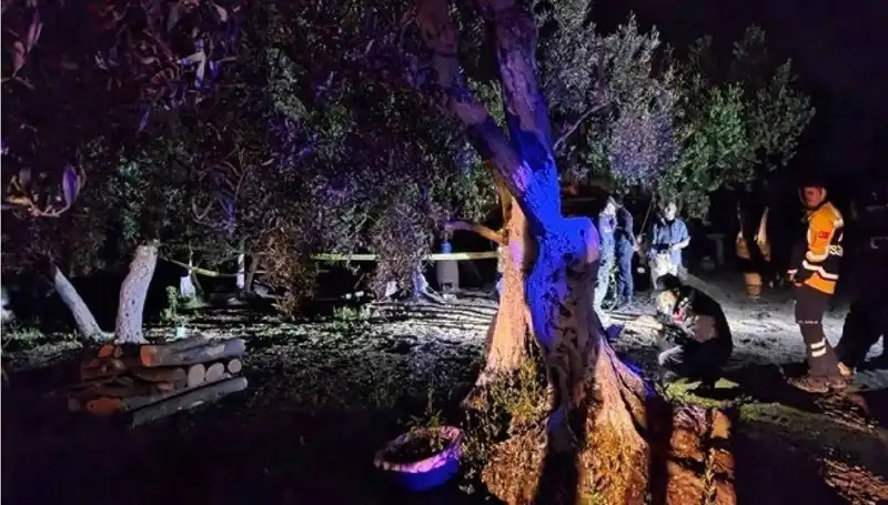 Çiftlikteki Baltalı Vahşet Sonrası Şok Tutuklama Gerçekleşti