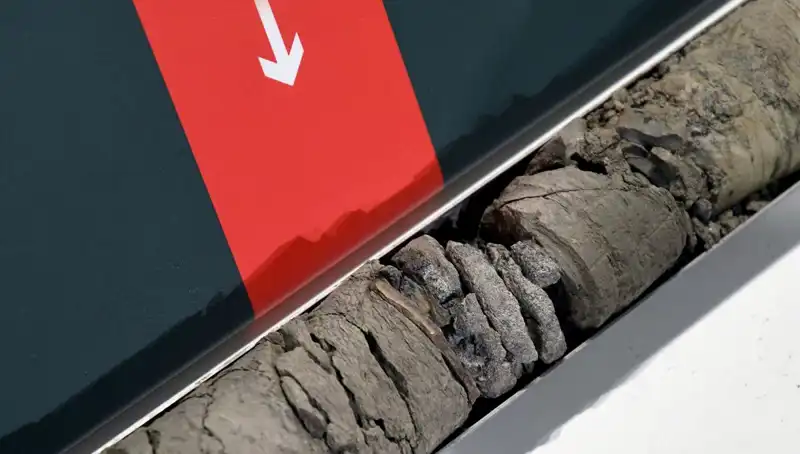 Müze Otoparkında Şok Eden Dinozor Fosili Bulundu!
