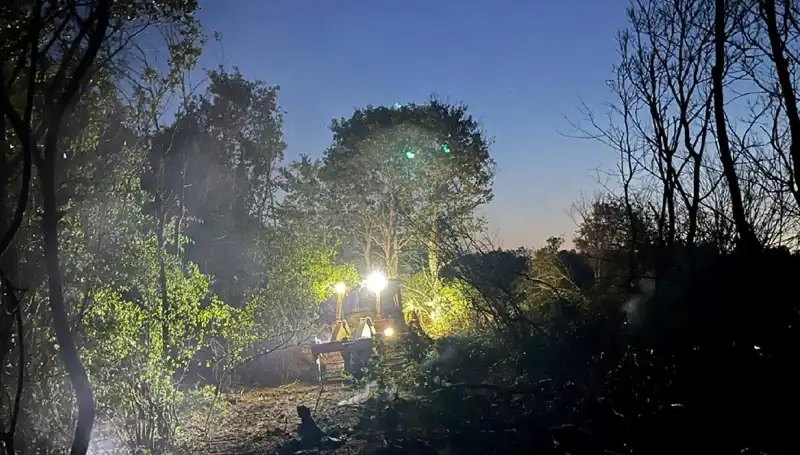 Edirne'de Orman Yangını Kontrol Altına Alındı, Ama Zarar Büyük