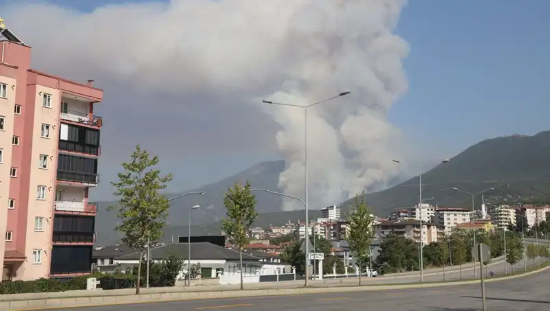 Denizli'de Büyüyen Orman Yangını: Şüpheli Gözaltına Alındı