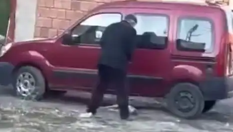 Sokak Ortasında Köpeğe Yapılan Şiddet: Yanlış Yolda Mı İlerliyoruz?