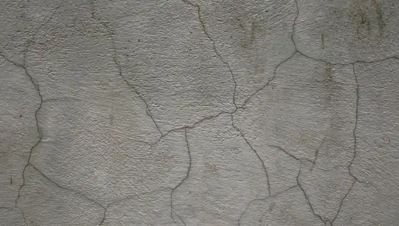 Canlı Beton Teknolojisi İle Geleceğin Yapıları Yeniden Şekilleniyor
